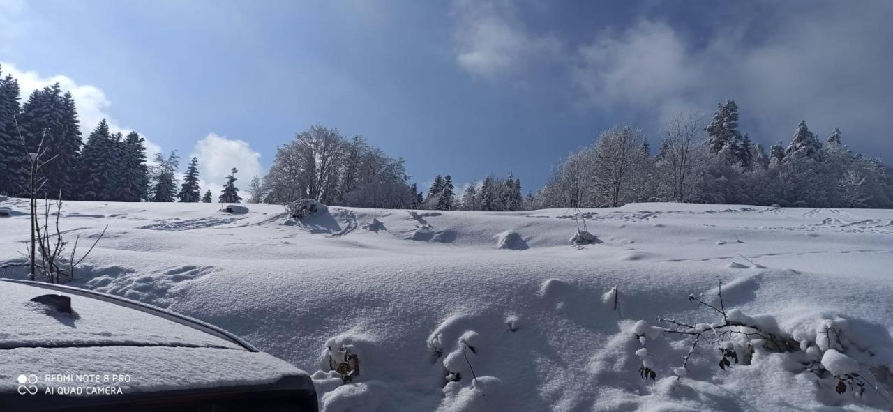 Chata Z Widokiem Na Babia Gore Pewel Wielka المظهر الخارجي الصورة